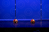 128B - Dangerous Birds - 2025 Triangle - 0012