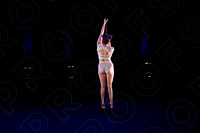 203N - Sinnamon - 2024 Netherlands - 0003