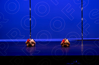 128B - Dangerous Birds - 2025 Triangle - 0020