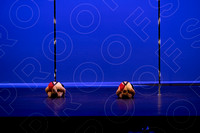 128B - Dangerous Birds - 2025 Triangle - 0011
